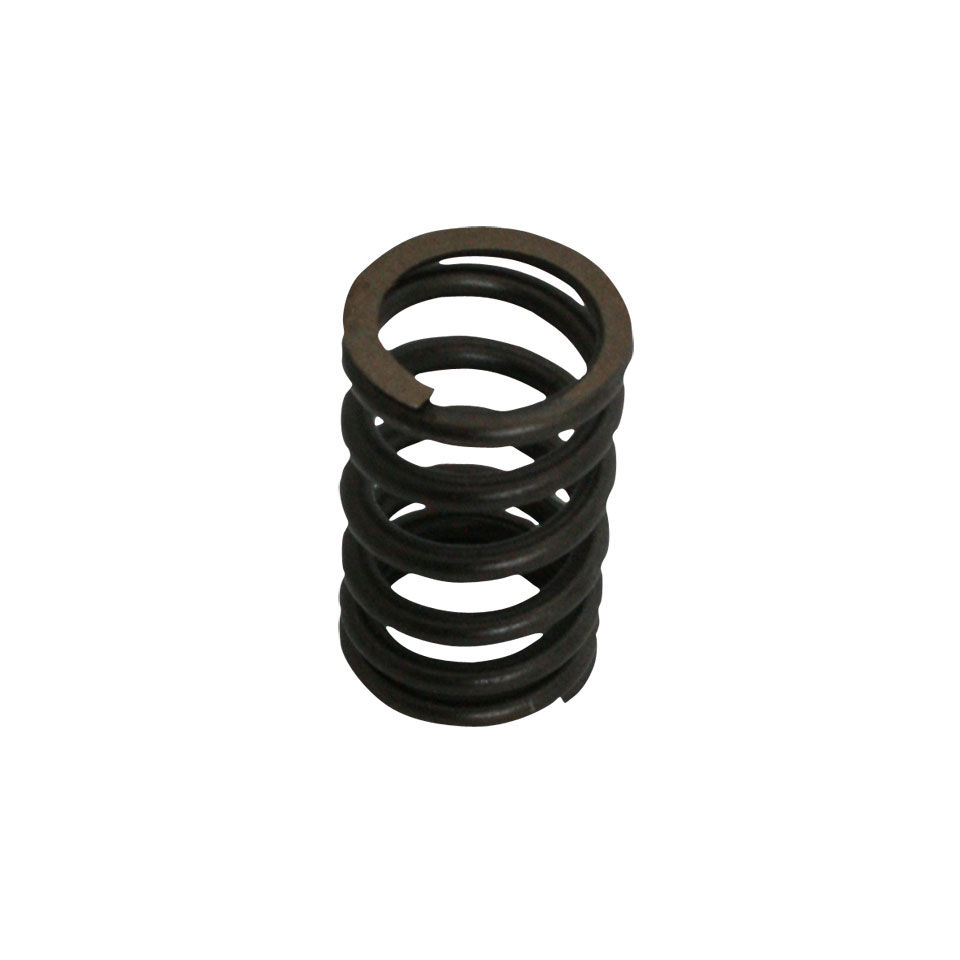 Valve spring Valve spring, standard, each - Image 1
