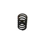 Ressort de soupape 25/30 hp/ style Okrasa, chaque