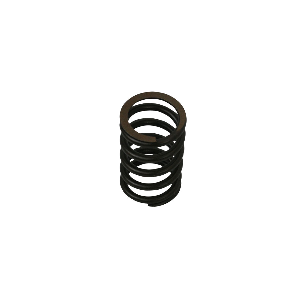 Valve spring 25/30 hp/ Okrasa style<br>each for T1 Valve spring 25/30 hp/ Okrasa style, each - Image 1