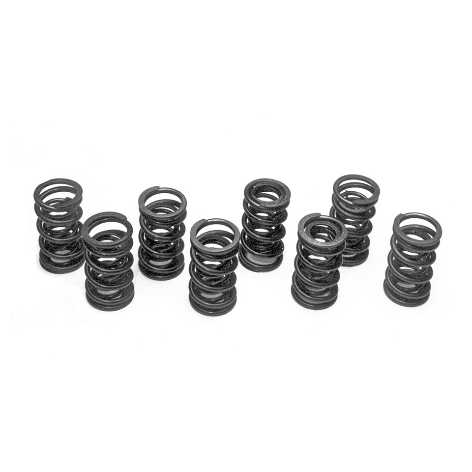 Extra strong dual valve springs<br>8 pieces for T1 Extra strong dual valve springs, 8 pieces - Image 1