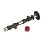 camshaft Engle W 110