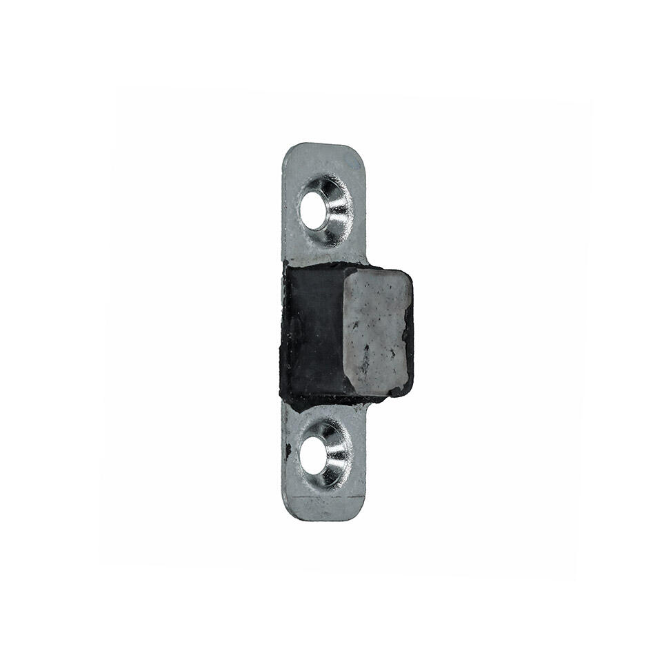 0438-125.21cce939_1 Rear cargo door guide / door - Imagen 1