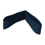 Türsicherungsband Frachttür (175mm), blau