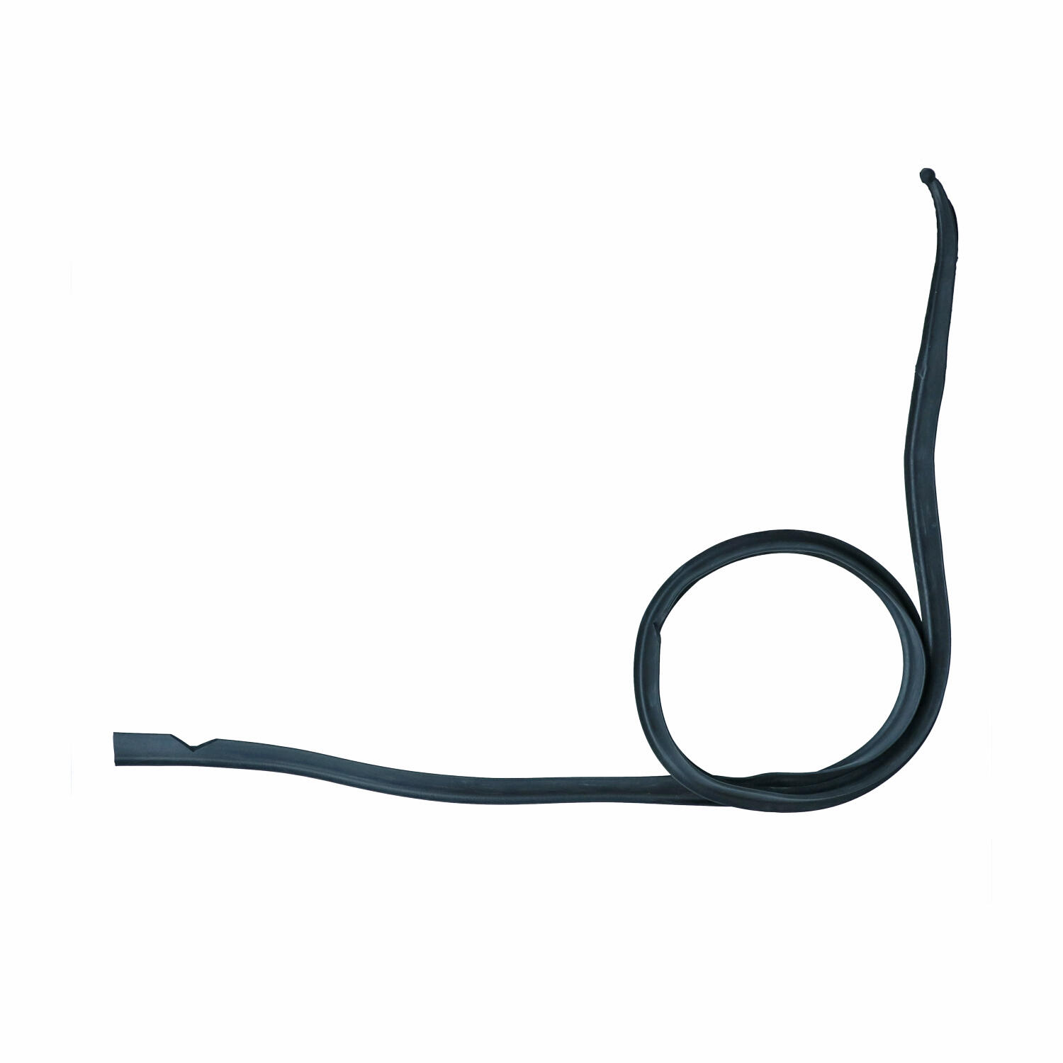 0756-005.21cce939 Door seal, right - Imagen 1