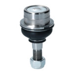 Rótula superior/inferior